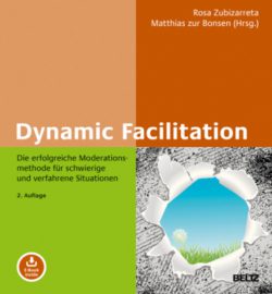 Dynamic facilitation Buch-Cover